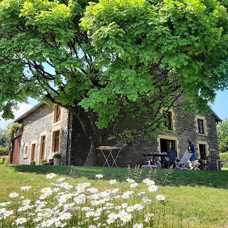 La Maison Des Marguerites Vresse-sur-Semois Eksteriør billede