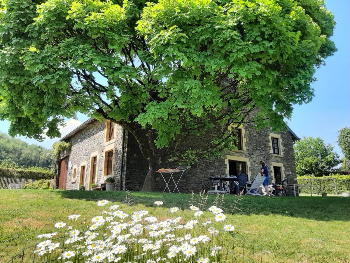La Maison Des Marguerites Vresse-sur-Semois Eksteriør billede