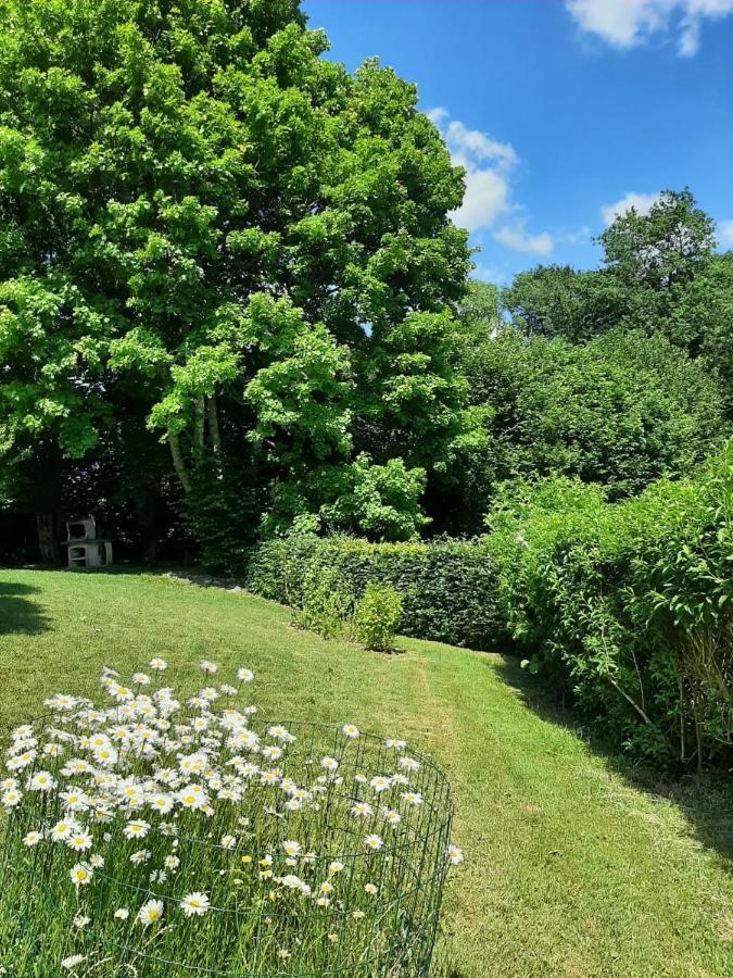 La Maison Des Marguerites Vresse-sur-Semois Eksteriør billede