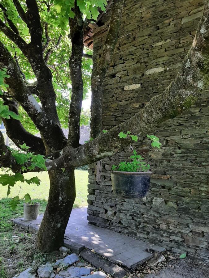 La Maison Des Marguerites Vresse-sur-Semois Eksteriør billede