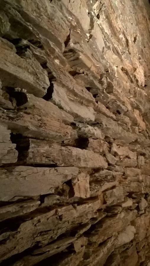 La Maison Des Marguerites Vresse-sur-Semois Eksteriør billede